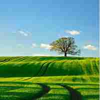 linux运‍维﻿基​本‌操​作​